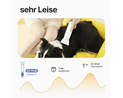 Eine Person verwendet einen Tierhaartrockner an einem Hund, der in einem gelben Hundebett liegt. Diagramm mit Geräuschpegelvergleich zu Staubsaugerrobotern und Haartrocknern.