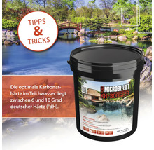 Microbe Lift KH Booster zur Erhöhung der Karbonathärte im Gartenteich vor asiatischer Gartenkulisse