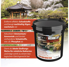 Eimer Microbe Lift Zeopure Teichklärer vor einer Teichlandschaft mit einem japanischen Gartenpavillon.