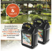Zwei Behälter Microbe-Lift Artemiss und Herbtana Pond Fischpflegemittel vor einem Gartenteich
