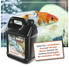 Microbe-Lift Herbtana Teichpflegeprodukt zur Fischpflege
