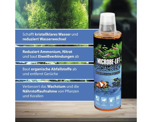 Microbe Lift Special Blend Wasserpflege Bakterien für kristallklares Wasser und zur Reduzierung von Wasserwechsel