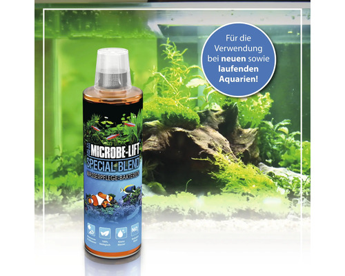 Microbe Lift Special Blend Wasserpflege Bakterien für Aquarien