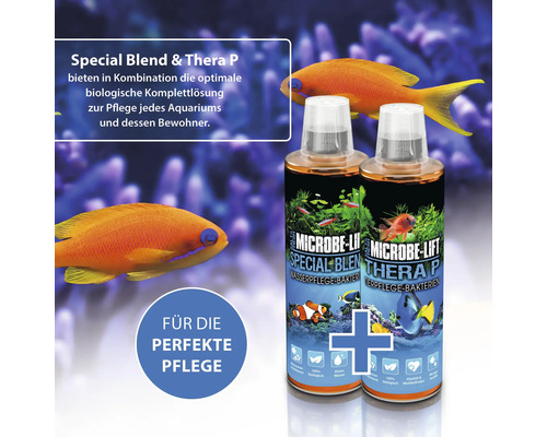 Zwei Flaschen Microbe Lift Special Blend und Thera P zur Aquariumpflege