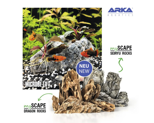 Aquariengestaltung mit Wasserpflanzen, Fischen, Dragon Rocks und Seiryu Rocks