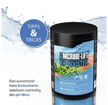 Microbe Lift KH Booster für Meerwasser und Süßwasseraquarien