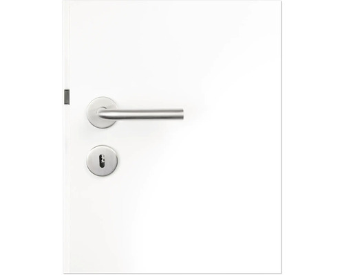 Tür mit Metalltürgriff und Schloss