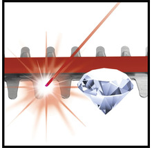Illustration einer Heckenschere mit Diamantschliff