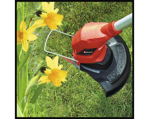 Einhell Logo. Rasentrimmer im Einsatz neben Narzissen auf einer Rasenfläche.