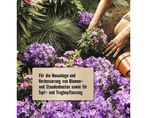 Anpflanzen von Blumen und Staudenbeeten sowie Topf- und Trogbepflanzung