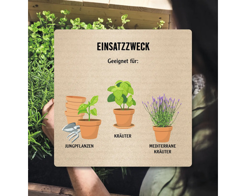 Darstellung verschiedener Pflanzen in Töpfen: Jungpflanzen, Kräuter und mediterrane Kräuter