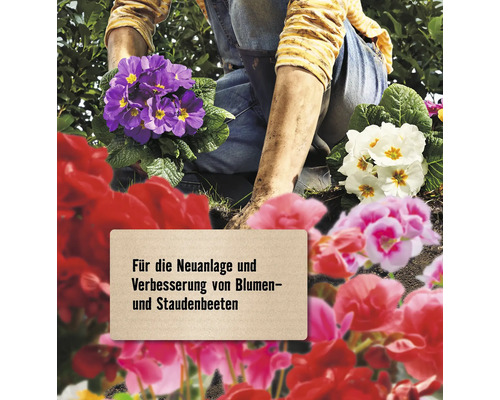 Gärtner pflanzt Blumen für ein neues Blumenbeet