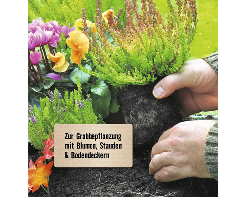 Grabgestaltung mit Blumen, Stauden und Bodendeckern.