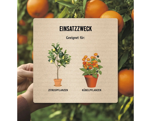 Informationstafel mit Anwendungsbeispielen für Zitruspflanzen und Kübelpflanzen
