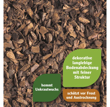 Nahaufnahme von Rindenmulch als Bodenabdeckung