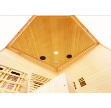 Innenansicht einer Sauna mit Holzverkleidung, Lautsprechern und Beleuchtung