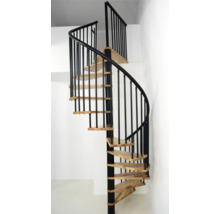 Spindeltreppe mit Metallgeländer und Holzstufen