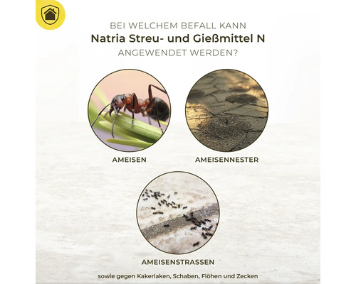 Anwendungsbereiche von Natria Streu- und Gießmittel N: Ameisen, Ameisennester und Ameisenstraßen.