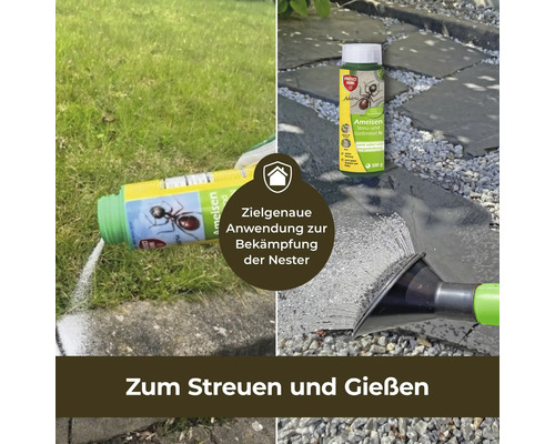 Anwendung des Ameisen Streu- und Gießmittel zur Bekämpfung der Nester