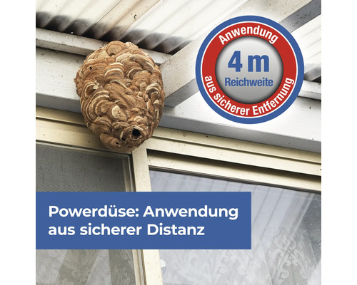 Wespennest an einem Hausdach, Reichweite 4 Meter.