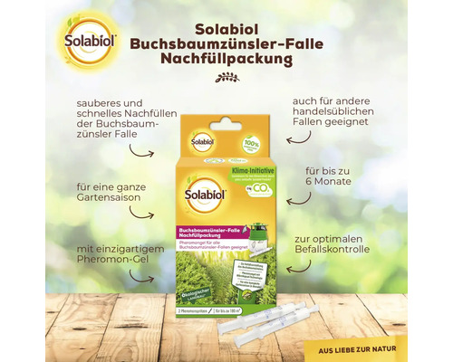 Solabiol Buchsbaumzünsler-Falle Nachfüllpackung zur Bekämpfung von Buchsbaumzünslern