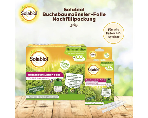 Solabiol Buchsbaumzünslerfalle Nachfüllpackung zur Befallsermittlung