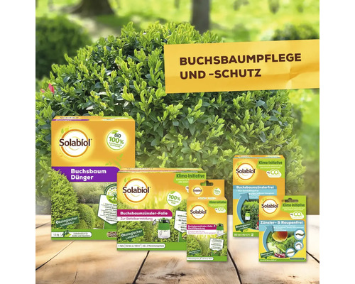 Verschiedene Solabiol Produkte für die Buchsbaumpflege und den Buchsbaumschutz vor einem Buchsbaum
