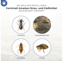 Anwendungsbereiche von Forminex Ameisen Streu- und Gießmittel: Ameisen, Ameisennester, Schaben, Flöhe.