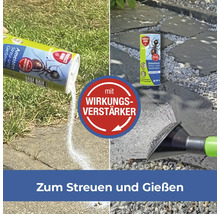 Anwendung von Ameisen Streu- und Gießmittel zur Schädlingsbekämpfung im Garten.