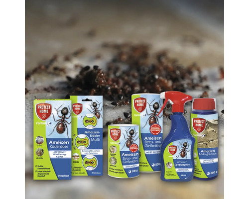 Produktreihe zur Ameisenbekämpfung von Protect Home mit verschiedenen Produkten gegen Ameisen