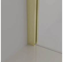 Raumdusche Aurlane Parma 1200x 2000 mm Echtglas Klar hell gold Reversibel