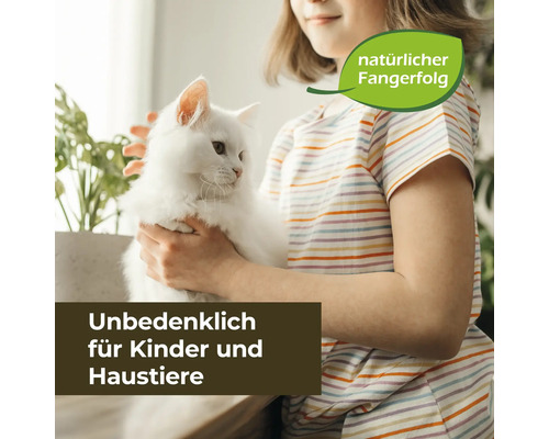 "Mädchen hält weiße Katze
