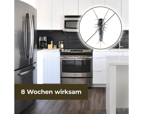 Küche mit Silberfischchen Symbol für acht Wochen Wirksamkeit