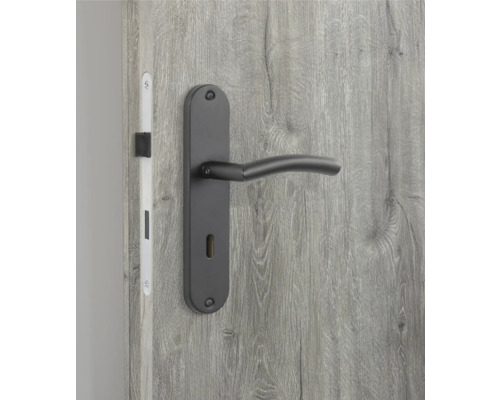 Türklinke aus Metall an einer Holztür