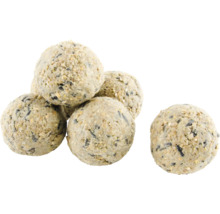 Mehrere Meisenknödel als Vogelfutter