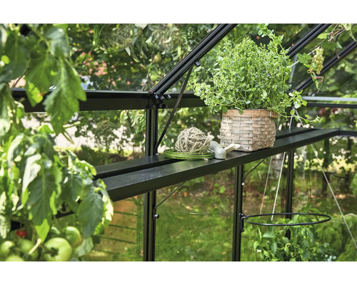 Gewächshausinneneinrichtung mit Pflanze im Korb, Bindfaden und Gartenwerkzeug auf einem Regal
