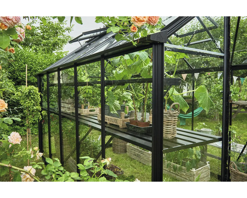 Gewächshaus mit Pflanzen in einem Garten