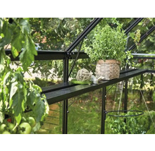 Innenansicht eines Gewächshauses mit Pflanzen, Pflanztisch und Gartenzubehör