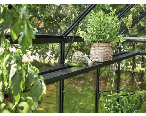 Innenansicht eines Gewächshauses mit Pflanzen, Pflanztisch und Gartenzubehör