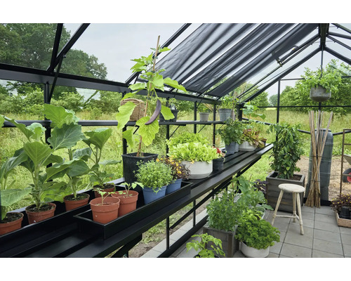Gewächshaus mit Pflanzenregalen und verschiedenen Gemüsesorten