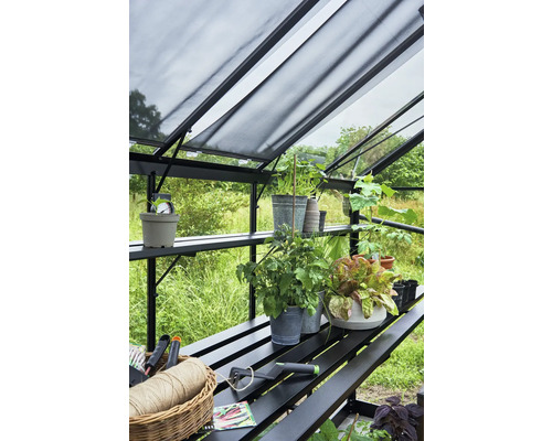 Gewächshausinnenraum mit Regalen, Pflanzen, Gartengeräten und Beschattungssystem