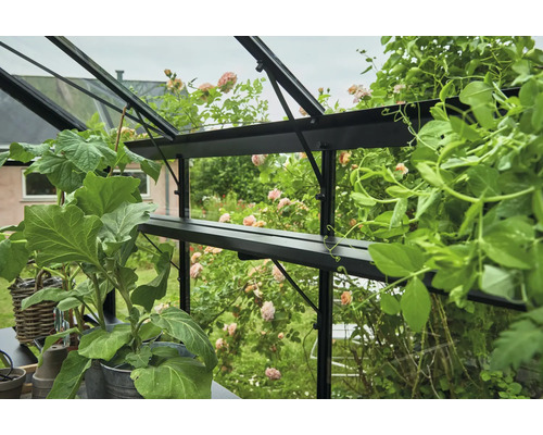 Gewächshaus mit Pflanzen und Regalen