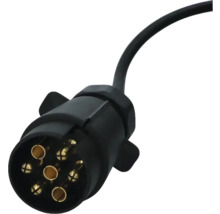 Siebenpoliger Stecker für Anhänger