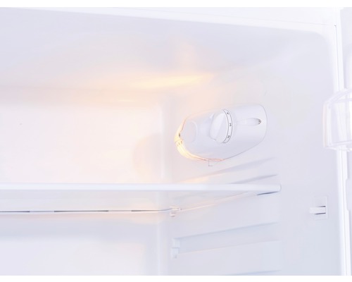 Innenansicht eines Kühlschranks mit Temperaturregler und Regalböden