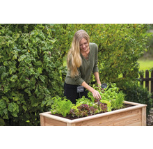 Frau beim Bepflanzen eines Hochbeets mit Salat und Kräutern im Garten.
