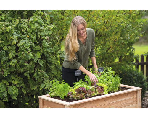 Frau beim Bepflanzen eines Hochbeets mit Salat und Kräutern im Garten.