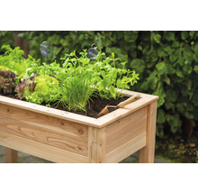 Hochbeet mit Salat, Schnittlauch, Minze und einer Gartenschaufel