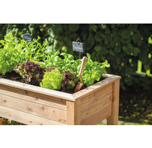 Hochbeet aus Holz mit Salat und Kräutern bepflanzt sowie einem kleinen Spaten