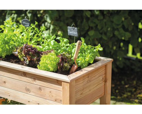 Hochbeet aus Holz mit Salat und Kräutern bepflanzt sowie einem kleinen Spaten