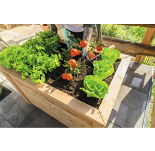 Hochbeet mit Salat, Tomaten und Kräutern auf einer Terrasse mit Pflastersteinen